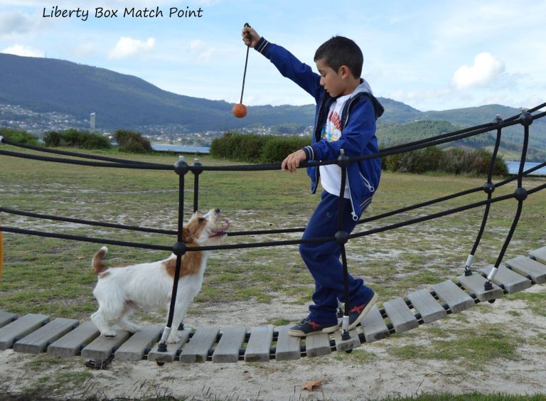 criadero jack russell, jack russell terrier, jack russell terrier precio, jack russell pelo largo, jack russell terrier mini, jack russell pelo corto, jack russell precio, jack russell broken, jack russell pelo duro, jack russell terrier temperamento, jack russell cachorro, jackrussell, jack russell pelo broken, precio jack russell terrier, oncetartessos, jack russell tamaño, altajara, anroal, precio jack russell, criadero de jack russell, cachorro de jack russell, criadores jack russell, camada jack russell terrier, jack russell bilbao, jack russell, madrid, jack russell barcelona