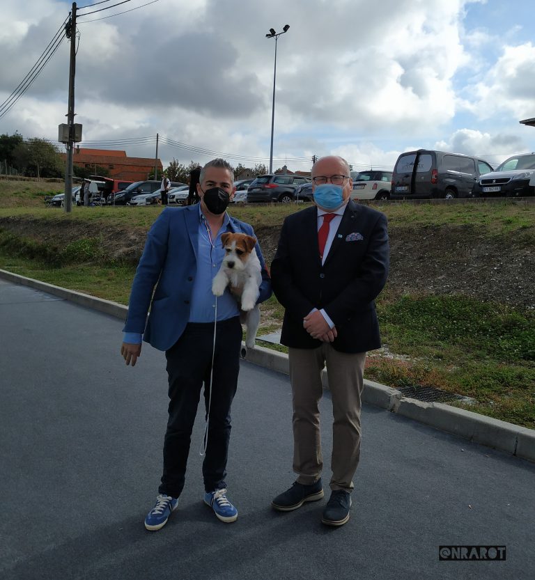 Jack russell Madrid, Jack Russell Barcelona, el perro de la máscara, jack russell terrier pelo broken, jack russell criadero, jack russell madrid, jack russell barcelona, jack russell terrier pelo duro, jack russell galicia, jack russell anroal, anroal, anrarot, altajara, jack russell camada, jack russell cachorro, Cachorro Jack Russell Terrier en Galicia, criadero familiar