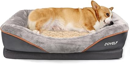 Jack Russell Terrier de pelo broken durmiendo plácidamente en una cama ortopédica para perros pequeños, cómoda, lavable y recomendada para comprar online