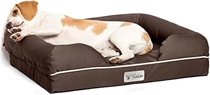 Perro durmiendo enuna cama viscoelástica, comprar