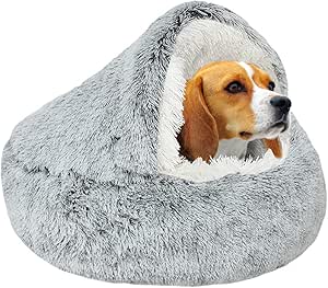 Jack Russell Terrier de pelo broken durmiendo plácidamente en una cama antiestress para perros pequeños, cómoda, lavable y recomendada para comprar online