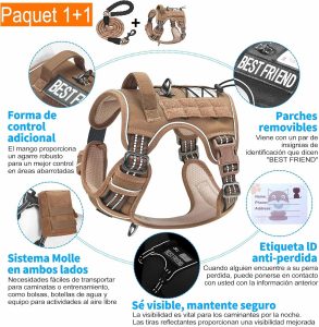 arnés para jack russell