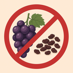 puede un perro comer uvas?