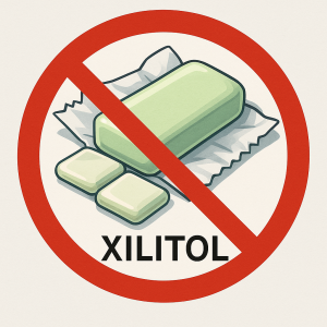 que pasa si mi perro come chicle