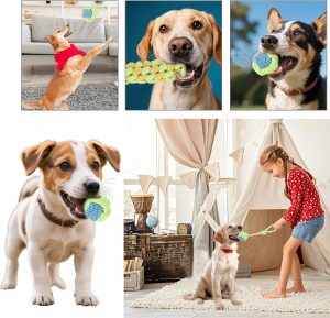 juguete de cuerda para perros