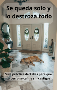 Mi perro destroza cosas cuando se queda solo