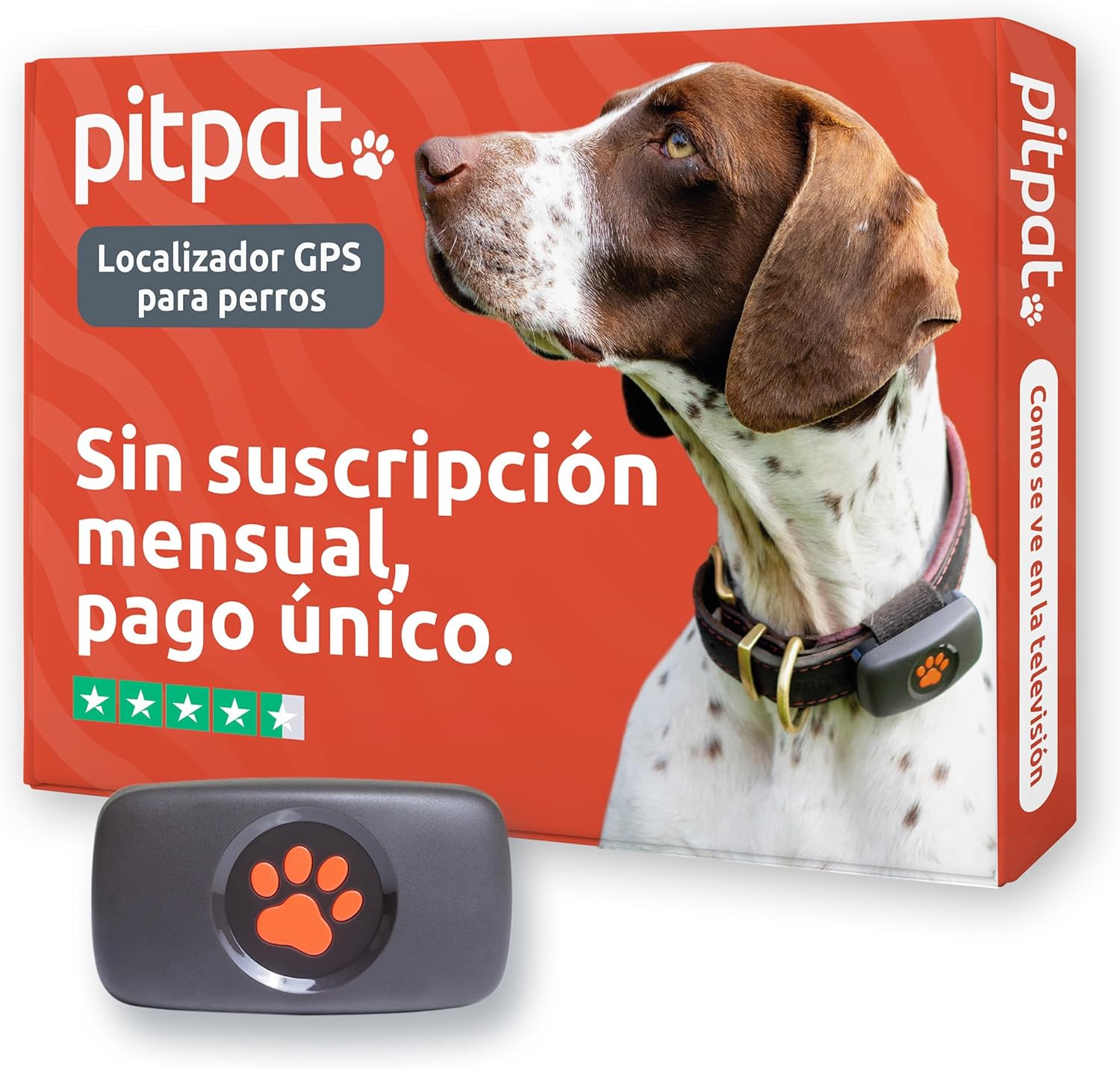 GPS PitPat para Jack Russell Terrier sin suscripción mensual