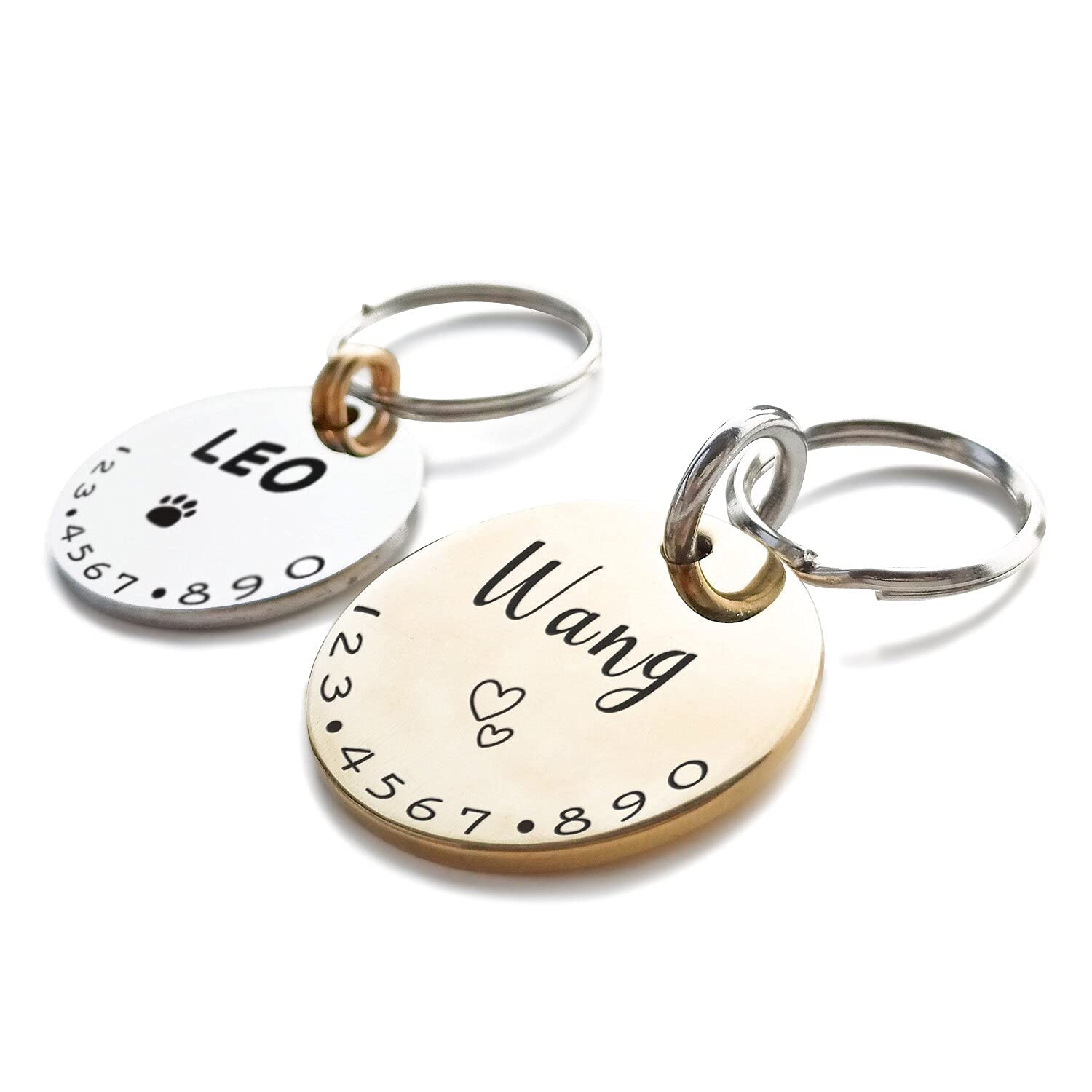 placa identificativa grabada para Jack Russell Terrier