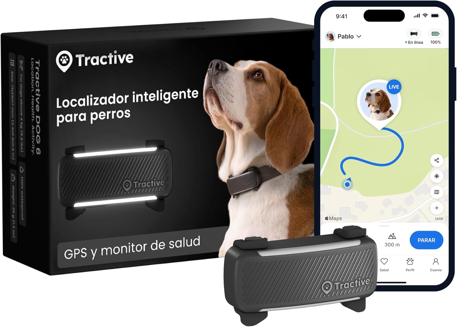 GPS Tractive para Jack Russell Terrier en salidas al campo