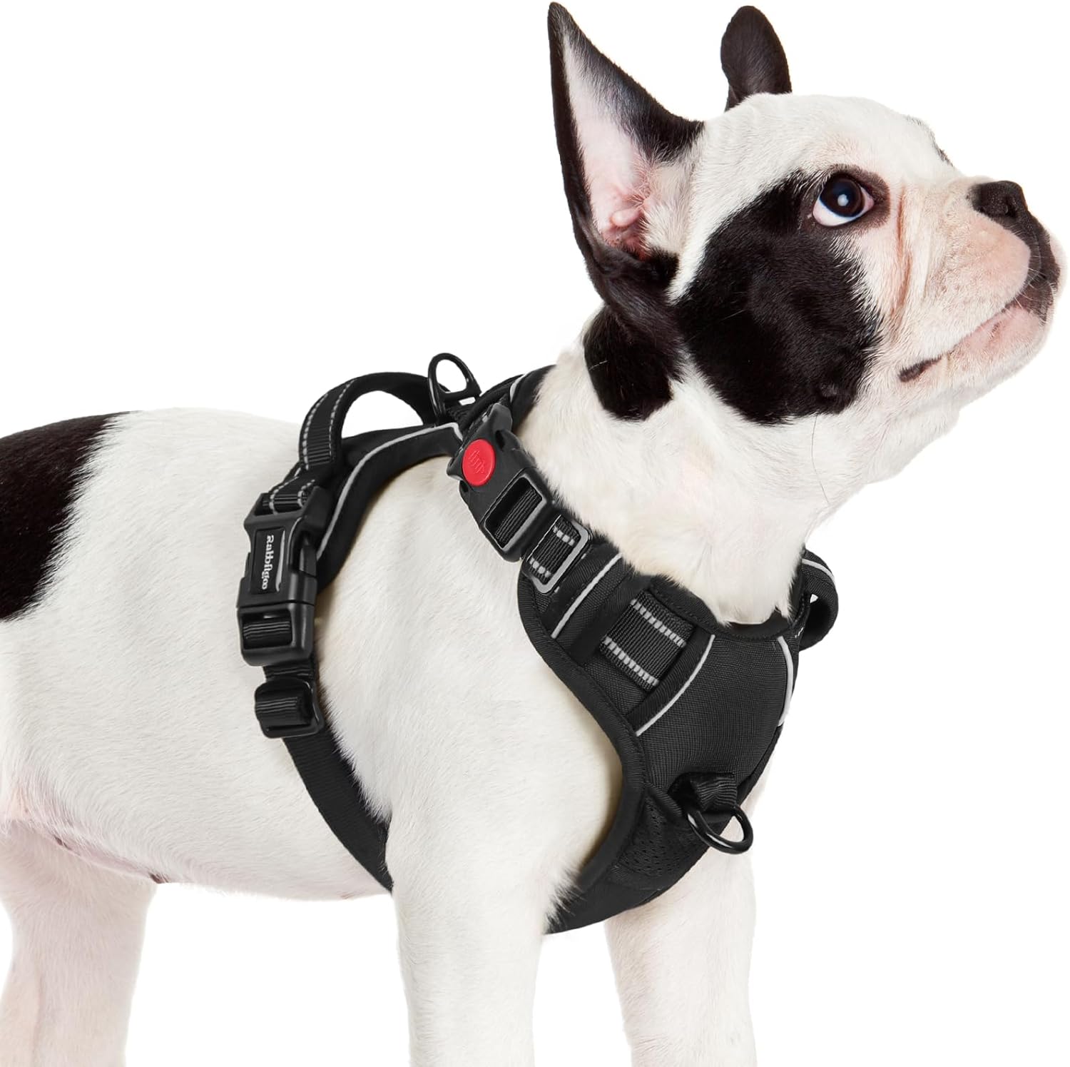 Arnés antitirones rabbitgoo para perro pequeño
