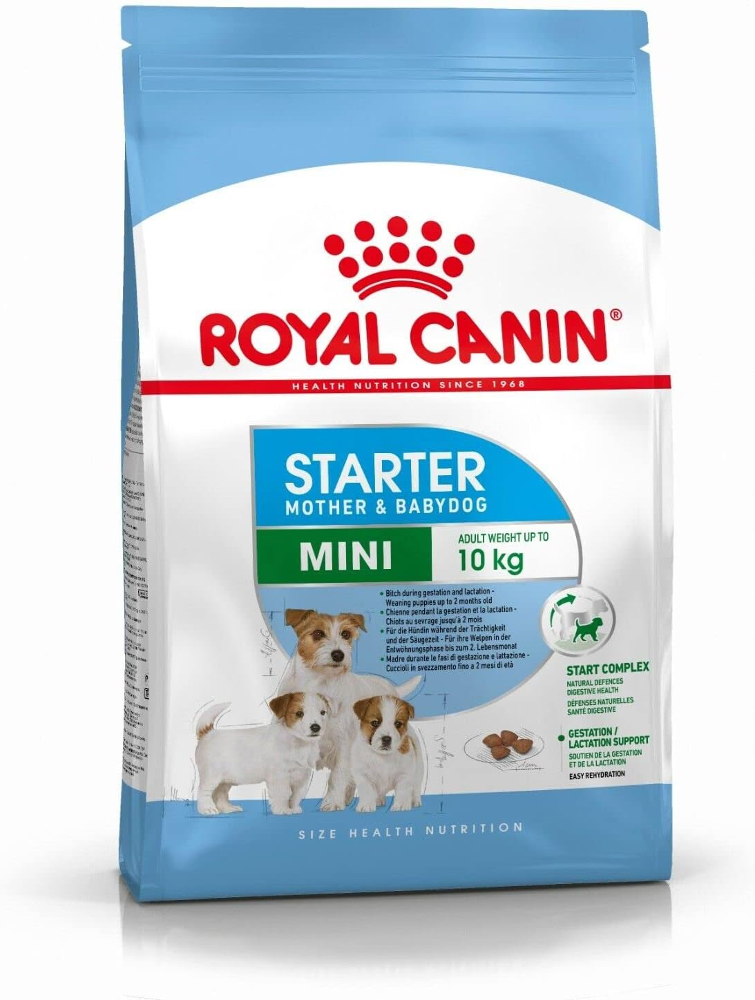 Royal Canin Starter Mother and Babydog Mini para cachorros Jack Russell Terrier